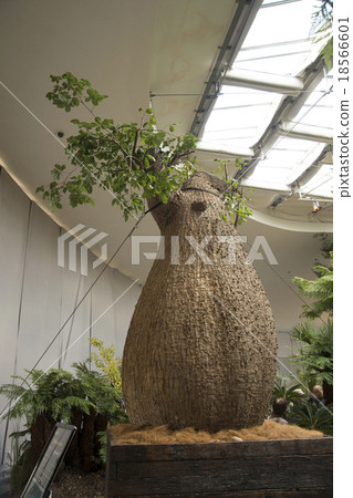 Drunk tree 18566601