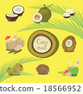 Set of Products of Coconut Tropical Fruit  18566952