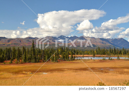 Short autumn landscape of inland Alaska, tundra of grass autumn leaves, spruce tiger, shining glacier Short autumn landscape of inland Alaska, tundra of grass autumn leaves, spruce tiger, shining glacier 18567297