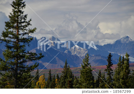 The Denali Mountain where the glaciers leading to the tundra of red tinted lands flow 18567299
