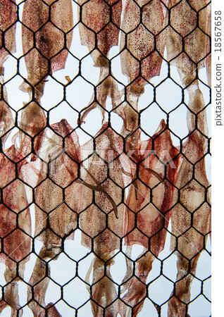 Dried squid 18567658