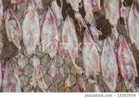 Dried squid 18567659