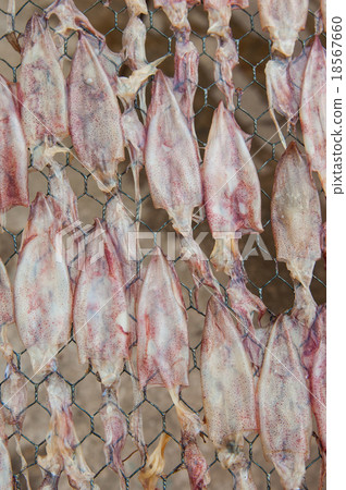 Dried squid 18567660