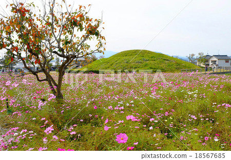 Ikaruga的Fujinoki Kofun Tombato村 Ikaruga的Fujinoki Kofun Tombato村 18567685