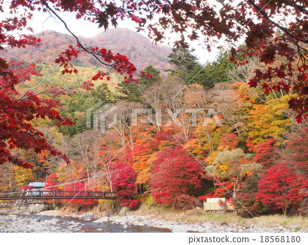 Shiobara山谷在秋天 18568180