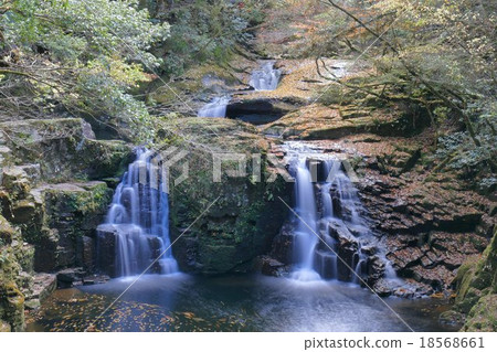 [Akame 48 Waterfall Valley Cargo Falls] Nagasaka, Akame Town, Nabari City, Mie Prefecture 18568661