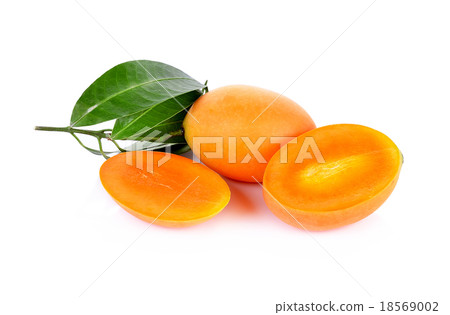 Marian plum fruit isolate on white background 18569002