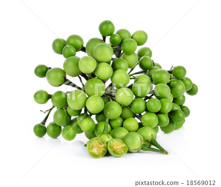 Pea eggplant on white background Pea eggplant on white background 18569012