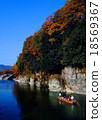 River leaves of autumnal leaves 18569367