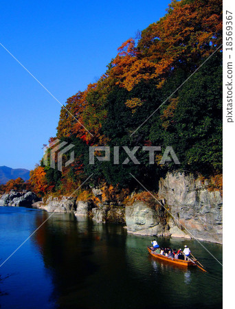River leaves of autumnal leaves 18569367