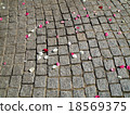Petals that fell in cobblestones 18569375
