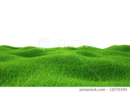 Green grass field 18570399