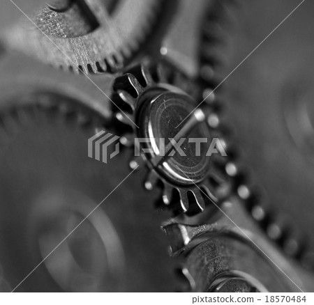 Metal gear wheel,black-and-white. Macro . 18570484
