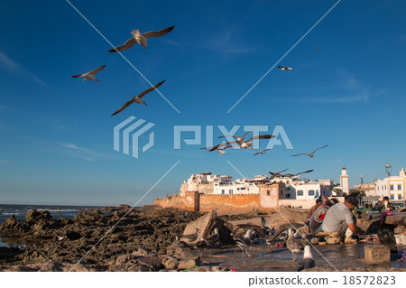 Essaouira city view, Morocco Essaouira city view, Morocco 18572823