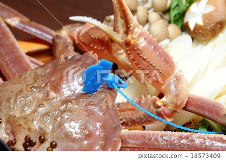 品牌蟹標籤 18573409