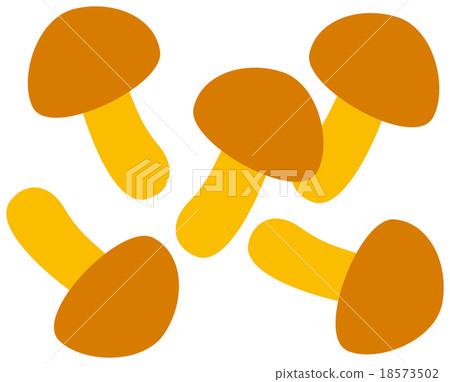 Nameko 18573502