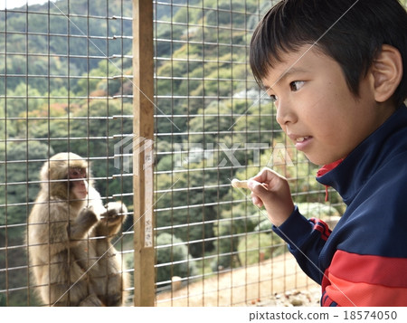 Arashiyama Monkey Park 18574050