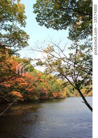 秋葉Eldong湖 18574800