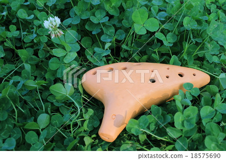 Ocarina 18575690