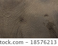 Elephant skin 18576213