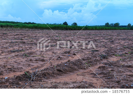 land for agriculture land for agriculture 18576755
