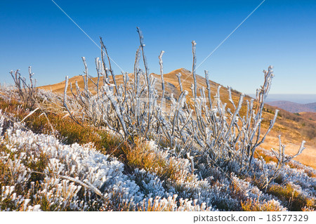 Bieszczady National Park, Poland 18577329