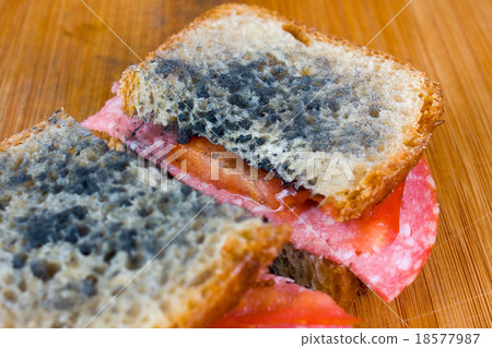 moldy sandwich with salami, tomatoes moldy sandwich with salami, tomatoes 18577987