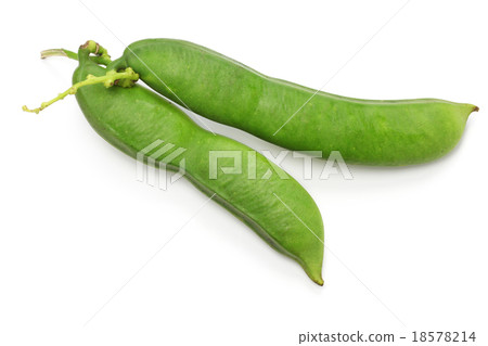 Natamame 18578214