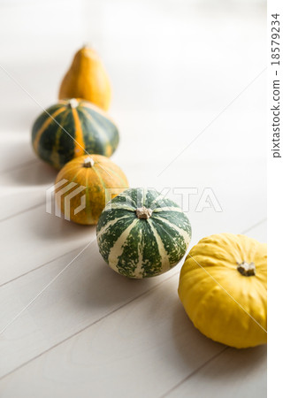 Toy squash Toy squash 18579234