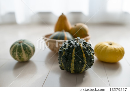 玩具壁球 18579237