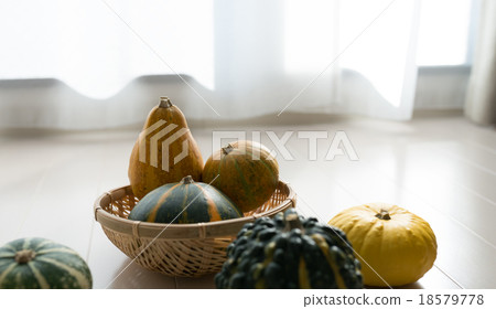 Toy squash Toy squash 18579778