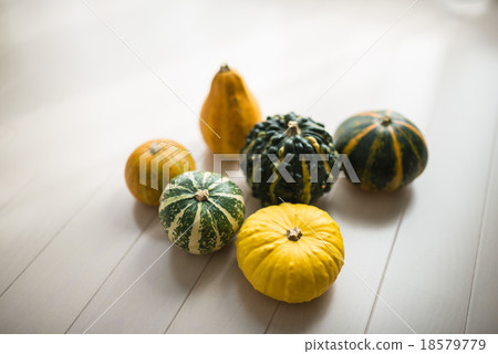 Toy squash Toy squash 18579779