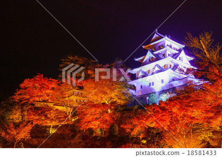 Autumn leaves light up at Gujo Hachiman Castle 18581433