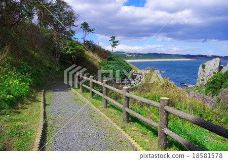 種子海岸的途徑 18581578