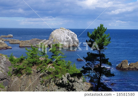 物種海岸的Shiroiwa 18581580