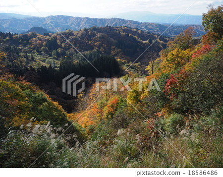 Uonuma地平線的秋葉 18586486