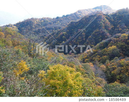 Uonuma地平線的秋葉 18586489