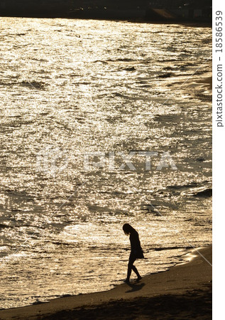 Evening scene 11 18586539