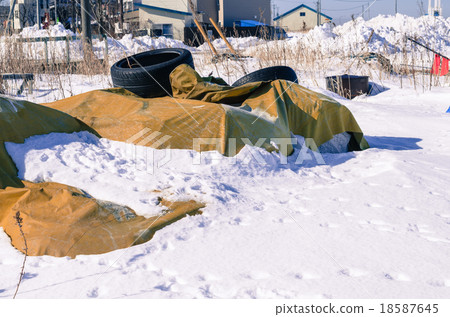 Windscreen landscape 18587645