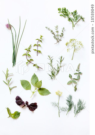 fresh herbs 18589849