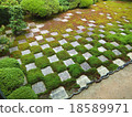 一個花園 18589971