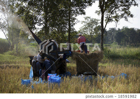 Farmer Threshing Farmer Threshing 18591982