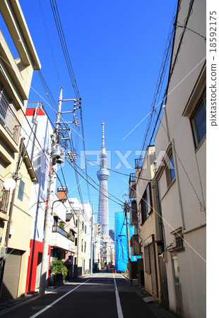 Townscape of downtown Tokyo and Sky Tree 18592175