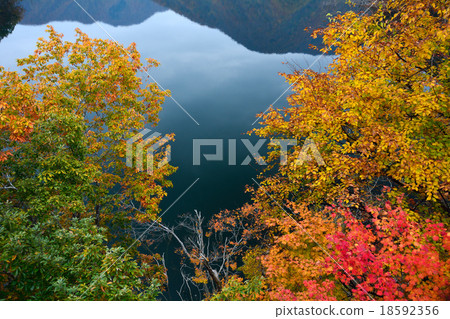 Autumn leaves of Tokuyama Dam 18592356