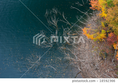 Autumn leaves of Tokuyama Dam 18592366