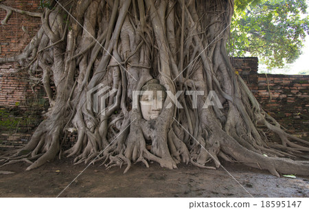 Wat Phra Mahathat Wat Phra Mahathat 18595147