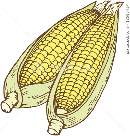 Corn 18595417