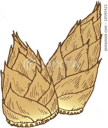 竹筍 竹筍 18595421