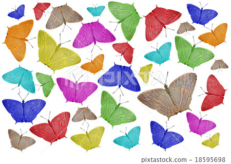 exotic color butterfly as nature background exotic color butterfly as nature background 18595698