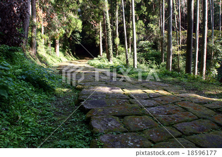 Historical Road Dragon Mozaka 18596177